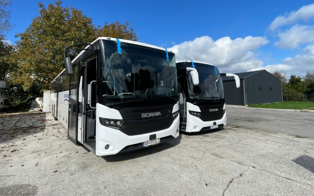 Bus windscreen damage: repair, assessment or replacement?
